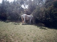 photos 2000-200901464